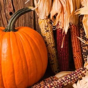 Meet your Posher, Cassie